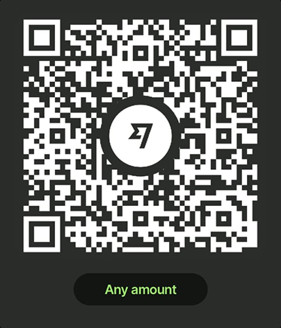 Wise Payment QR Code